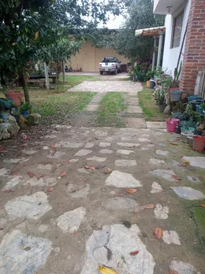 Jardín al aire libre en La casa de las flores
