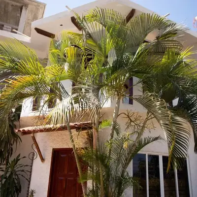 Casa Conejo