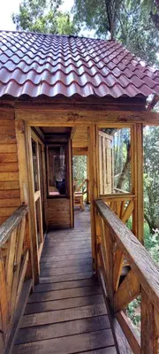 Plano de Cabaña en el Bosque de San José del Pacífico 4
