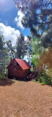 Plano de Cabaña en el Bosque de San José del Pacífico 4