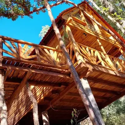Cabaña en el Bosque de San José del Pacífico 4