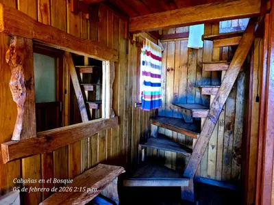 Plano de Cabaña en el Bosque de San José del Pacífico 3