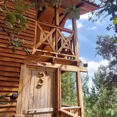 Cabaña en el Bosque de San José del Pacífico 3