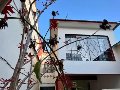Un balcón o terraza de Casa del Zocalo
