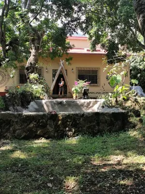 Jardín al aire libre en Hostal Tribu Malinalco