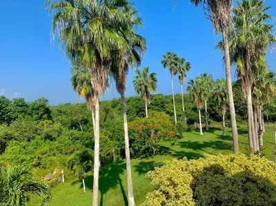 Plano de Estudio con terraza y vista lago SUEÑOS DE ARENA