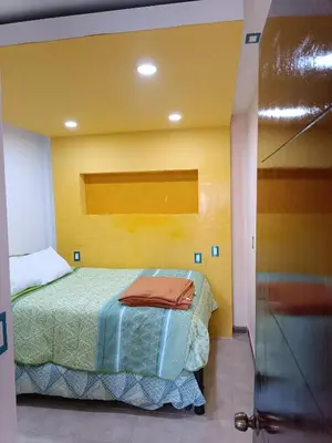 Cama o camas de una habitación en PentHouse con Roof Garden Privado Aeropuerto CDMX