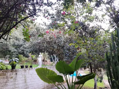 Jardín al aire libre en Casa Don Rubén