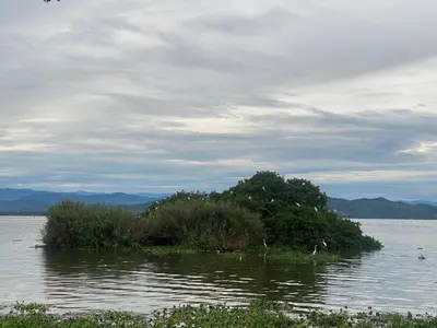Paisaje cerca de este apartamento