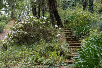 Jardín al aire libre en Hermosa cabaña en el bosque