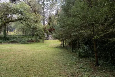 Jardín al aire libre en Hermosa cabaña en el bosque