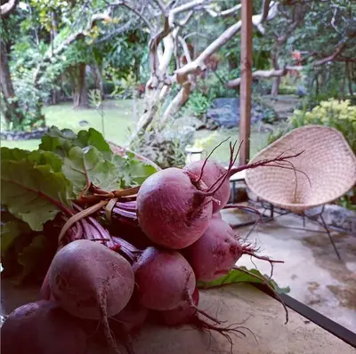 Jardín al aire libre en Canto de Aves