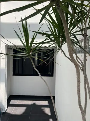 Plano de Departamento Olas