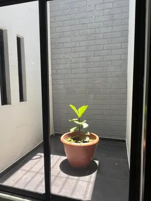 Plano de Departamento Olas