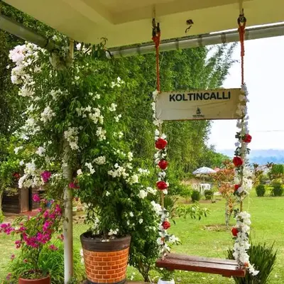 Koltincalli