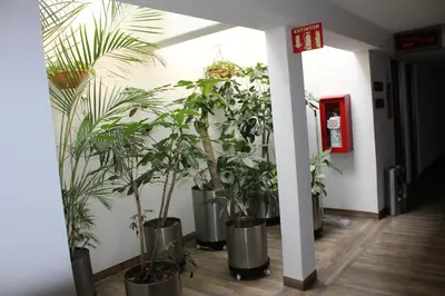 Plano de Hotel del Sur