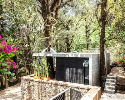 Jardín al aire libre en Fungi Tepoz Cabins
