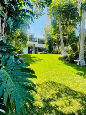 Jardín al aire libre en Ven a disfrutar de Casa Alfenapa a pie del lago, somos pet friendly