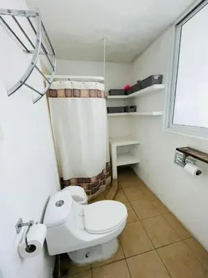 Un baño de Ven a disfrutar de Casa Alfenapa a pie del lago, somos pet friendly