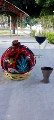 Bebidas en Hospedaje Familiar Op2
