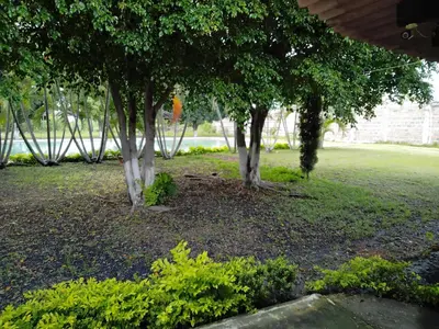 Jardín al aire libre en Hospedaje Familiar Op2