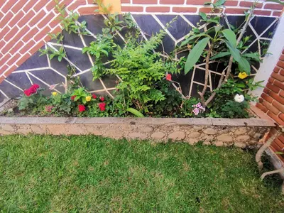 Jardín al aire libre en Azomalli