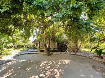 Jardín al aire libre en Casa KUUL, elegant fusion of house and garden.