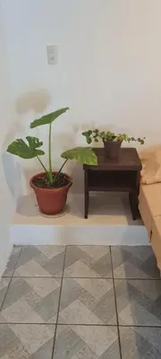 Plano de Casa Choco