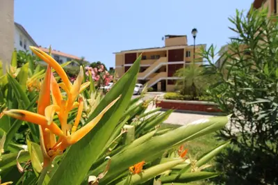 Jardín al aire libre en Depa Calpan
