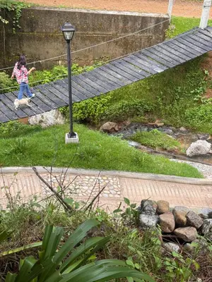 Jardín al aire libre en Tiny House