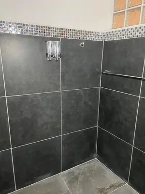 Un baño de EL GRAN TORIL