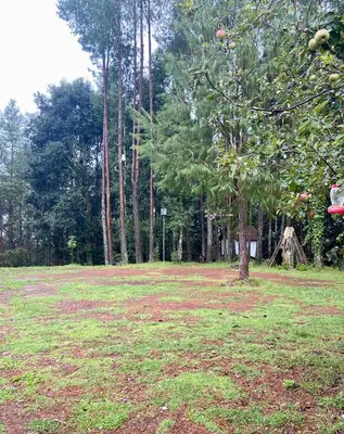 Jardín al aire libre en Cabaña en el bosque