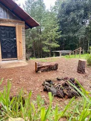Jardín al aire libre en Cabaña en el bosque