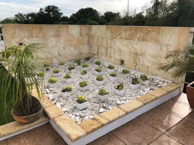 Jardín al aire libre en Casa Boutique Zoogocho