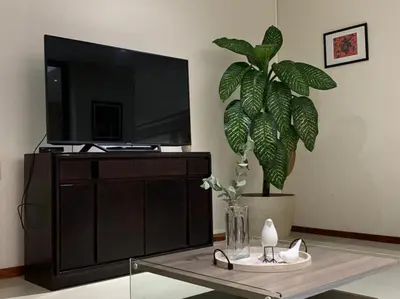 Una televisión o centro de entretenimiento en Casa Palmeras